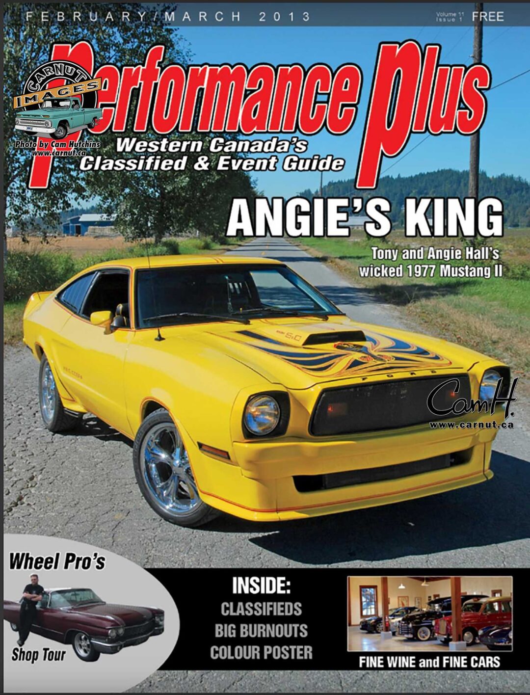 Angies King Mustang II