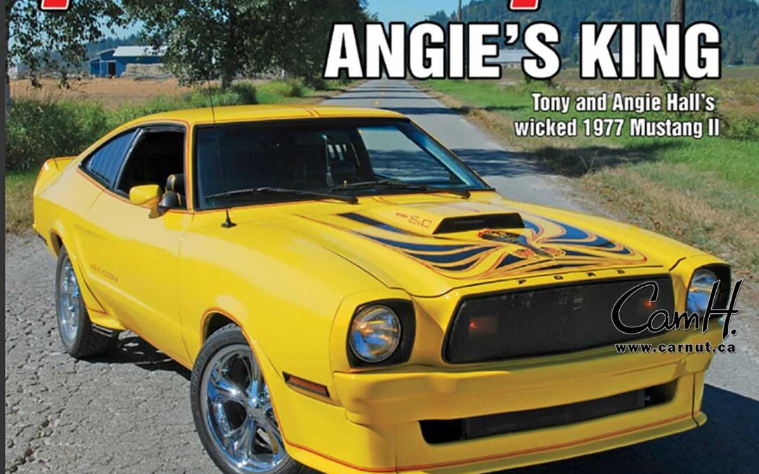 Angies King Mustang II